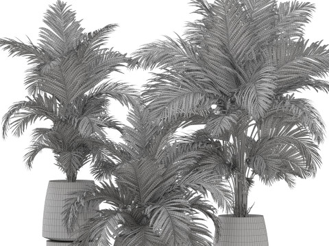 Plants collection 905 3D 模型