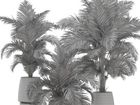 Plants collection 905 3D Model