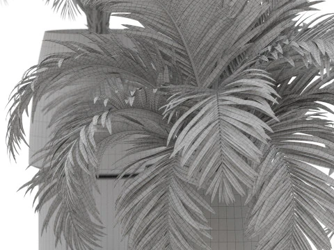 Plants collection 905 3D Model