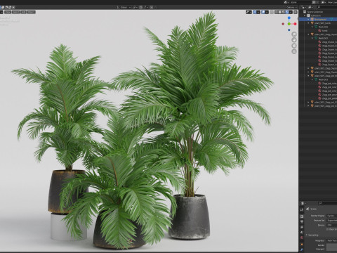 Plants collection 905 3D 模型