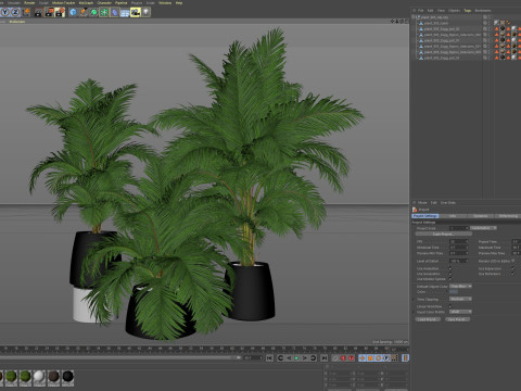 Plants collection 905 3D 模型