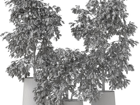 Plants collection 906 3D 模型