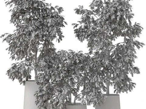 Koleksi tanaman 906 Model 3D