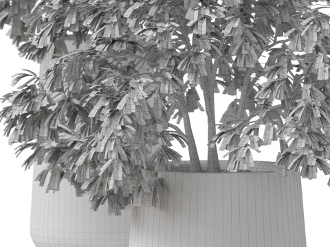 Plants collection 906 3D 模型