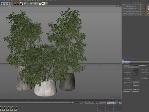 Plants collection 906 3D 模型