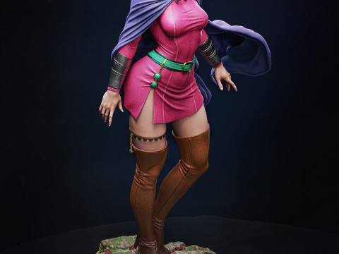 Sheila the Thief Dungeons and Dragons ASSEMBLY 3D Принт Модель