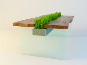 table with grass 3D Model