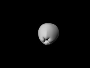 apple 3D Model
