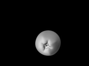 apple 3D Model