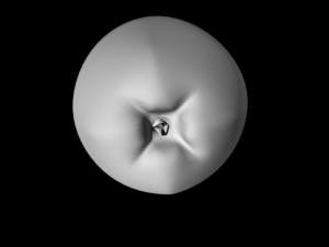 apple 3D Model