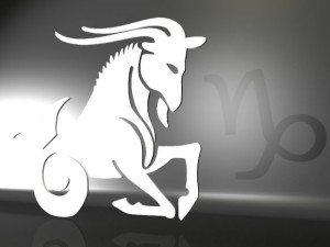 capricorn Modelo 3D
