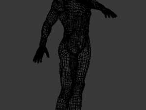 male human model  rigged and animated 3D Model