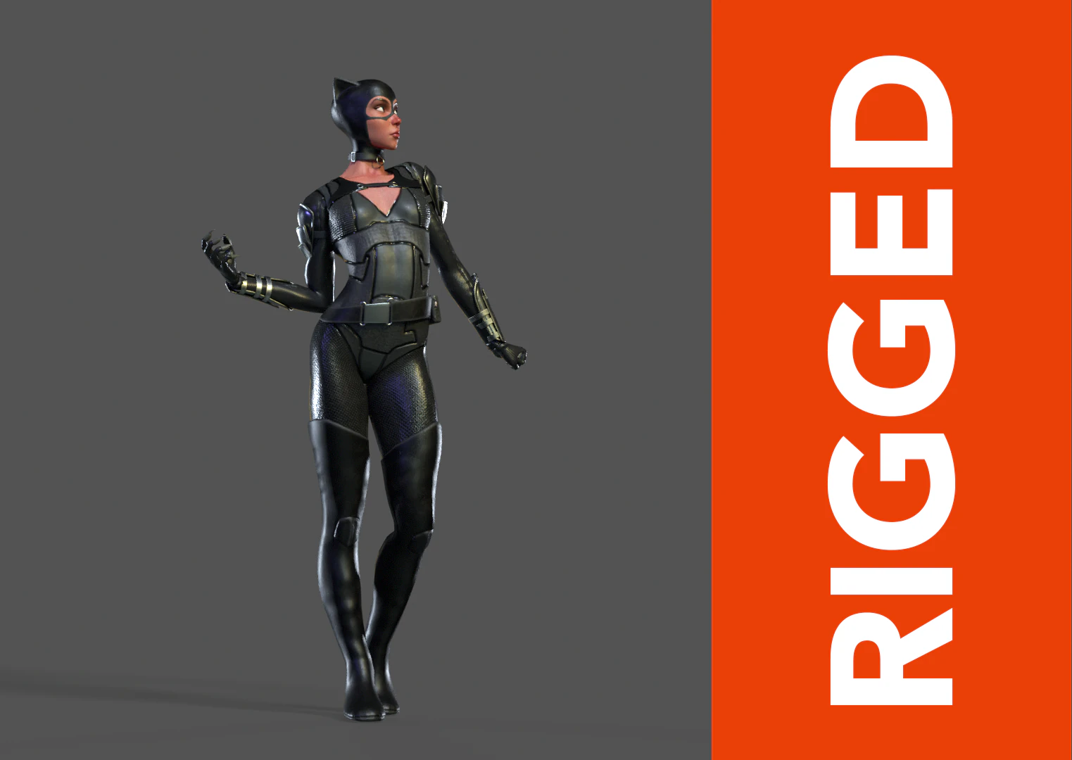 Catwoman Rig 3D Model .c4d .max .obj .3ds .fbx .stl .blend 