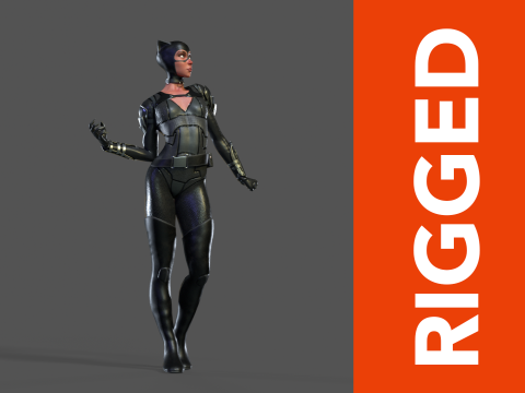 Catwoman Rig Modelo 3D