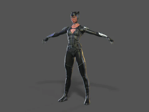 Catwoman Rig 3D Model