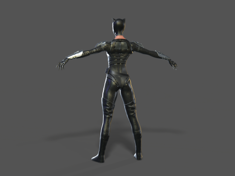 Catwoman Rig 3D Модель
