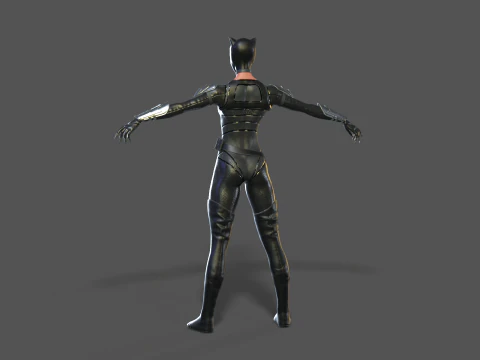 Catwoman Rig 3D Model