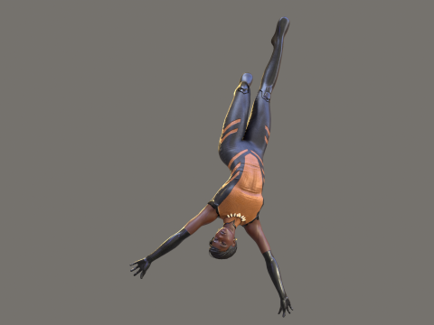 Vixen Rig Modelo 3D