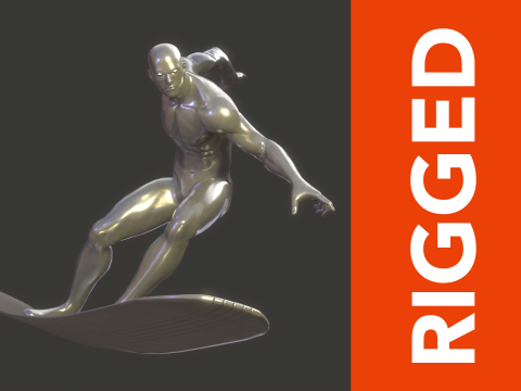 Silver Surfer Rig 3D-Modell