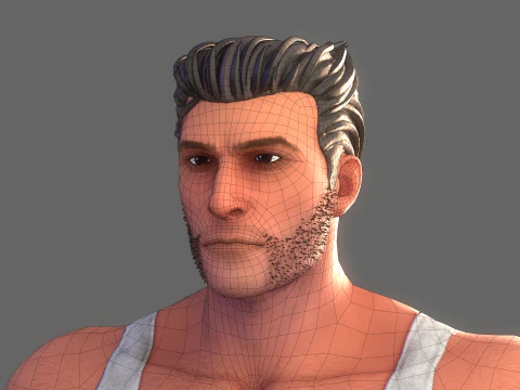 Wolverine Rig 3D Model