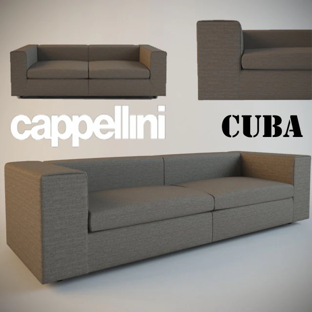 caba sofa cappellini 3D Model .c4d .max .obj .3ds .fbx .stl .blend 