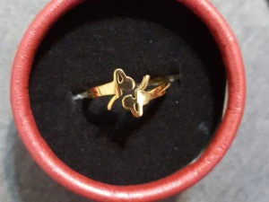 luftiger Ring 3D Druckmodell