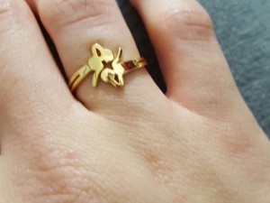 airy ring 3D-Druckmodell