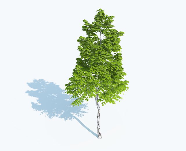 high detailed realistic tree Modelo 3D .c4d .max .obj .3ds .fbx .stl .blend 