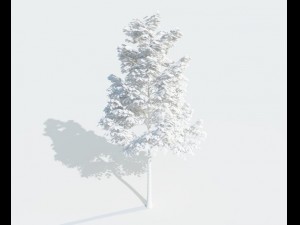 high detailed realistic tree Modelo 3D