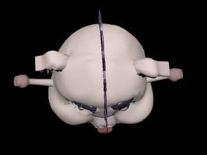 heavy metal pig 3Dモデル