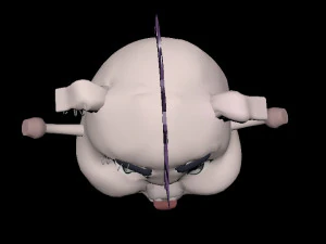heavy metal pig 3D Model