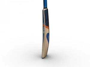 Cricketschl&auml;ger 3D Modell