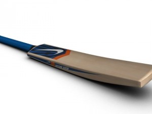 cricket bat 3D 모델