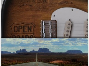 fender stratocaster guitar Modèle 3D