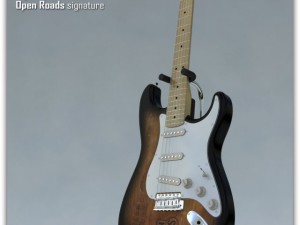 fender stratocaster guitar Modèle 3D