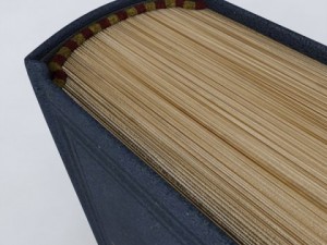 book customizable 3D Модель