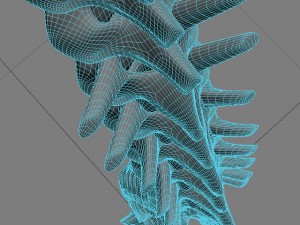 human spine max 2010 3D Модель