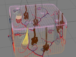 pelle umana Modello 3D