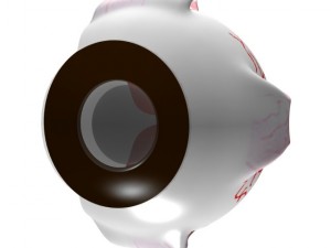 eye 3D Model