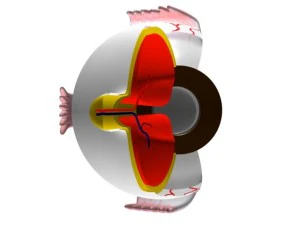 &oelig;il Modèle 3D