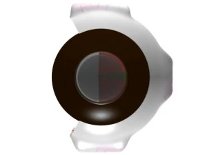 &oelig;il Modèle 3D