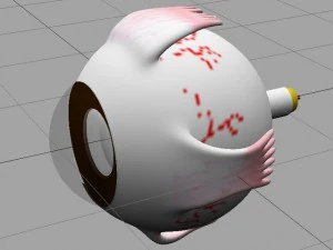 &oelig;il Modèle 3D