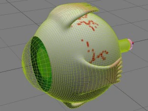 &oelig;il Modèle 3D