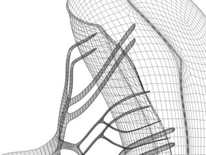 spleenbasic 3D Model