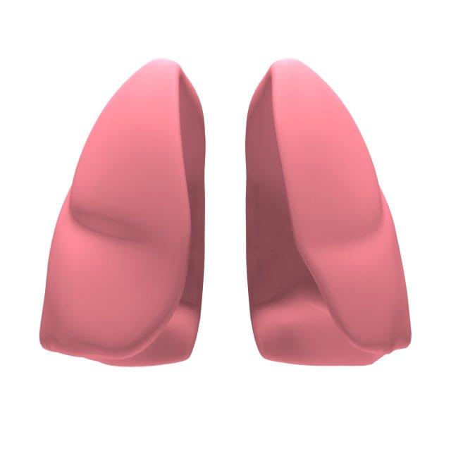 lungs max 2008 Modello 3D .c4d .max .obj .3ds .fbx .stl .blend 