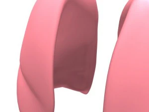 lungs max 2008 3D Model