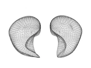 lungs max 2008 3D Model