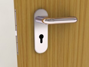 wood door 1 max 2008 3D Model