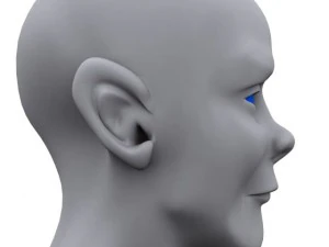base character man max 2008 3D Model