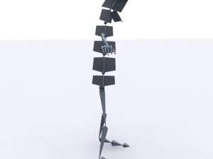 rigged max 2010 3D Model